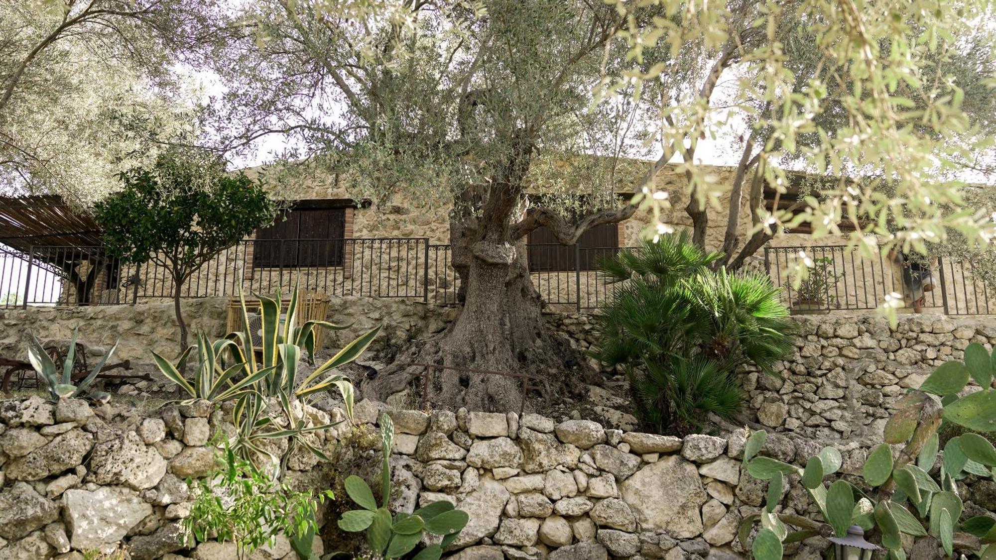 לינה וארוחת בוקר אגריג'נטו Roba Degli Ulivi מראה חיצוני תמונה