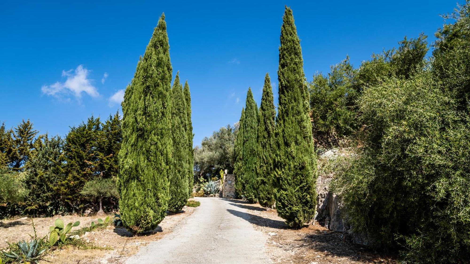 לינה וארוחת בוקר אגריג'נטו Roba Degli Ulivi מראה חיצוני תמונה
