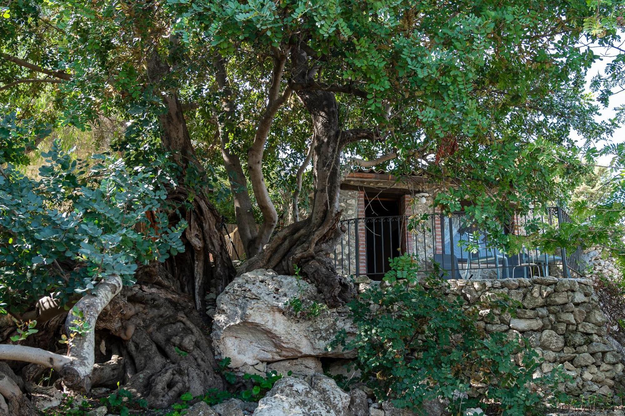 לינה וארוחת בוקר אגריג'נטו Roba Degli Ulivi מראה חיצוני תמונה